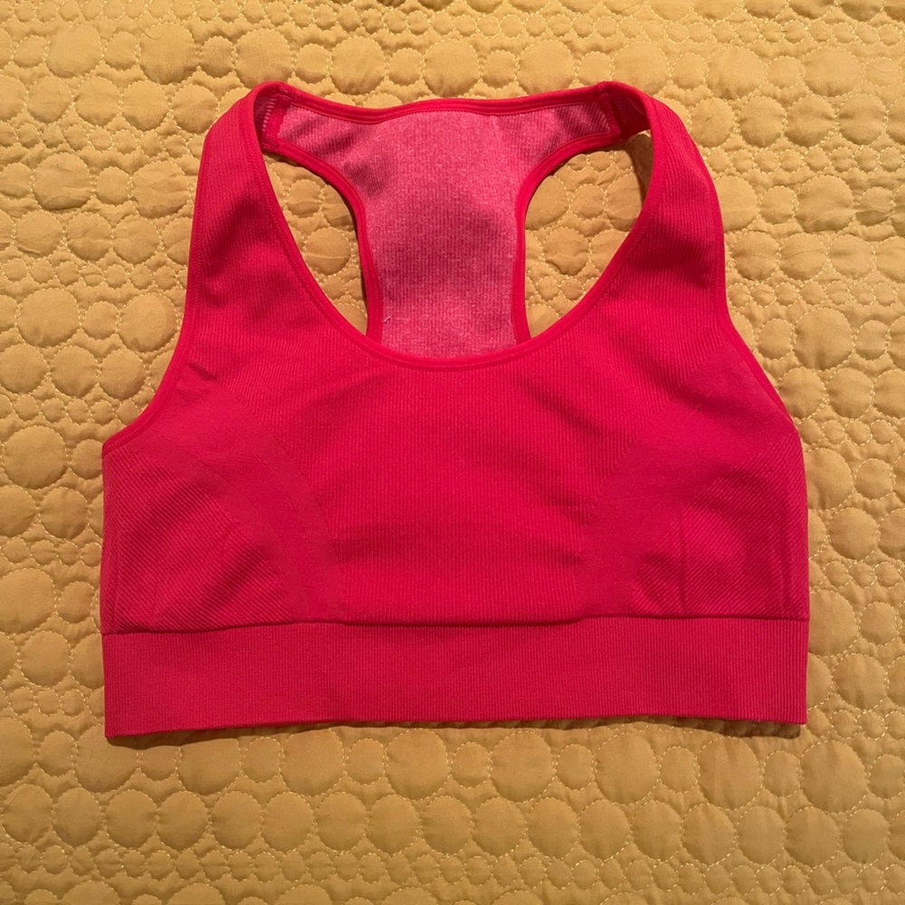 Reversible Aerie sports bra NWOT